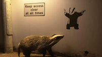 A selection of images chosen by the Irish Examiner picture desk