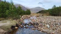 Landowners must be rewarded in State's nature restoration plan
