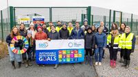 Biodiversity conservation in action at Gas Networks Ireland 