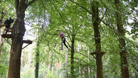 Plans lodged for new ziplining adventure centre in East Cork