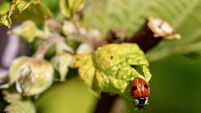 A selection of images chosen by the Irish Examiner picture desk