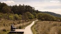 Staycations 2025: Forest walks to lift your soul