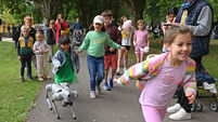 Watch: Cork Carnival of Science at Fitzgerald's Park