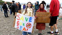Letters to the Editor: Mussel farm will destroy Kinsale area