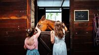 Departure Lounge: An equestrian escape, new flights to Greenland and a luxurious Greece getaway