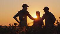 Your partner in farm success: Maximising your farm’s potential with FDC agri consultants 