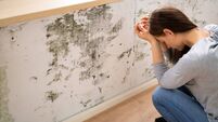 Shocked Woman Looking At Mold On Wall
