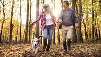 Letters to the Editor: Farmers and dog owners can be friends