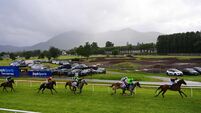 O'Briens dominate opening day in Killarney