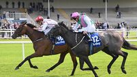 Expect a Red Letter day in Killarney