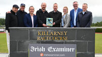 O'Brien back in winner's enclosure as impressive Spanish Temptress gets career off the mark