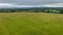 29.5-acre holding in Kerry dairying hotspot already under offer at €450,000