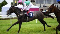 Red Letter returns to winning ways in Killarney