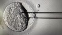 Eight babies born from pioneering IVF technique to prevent devastating disease