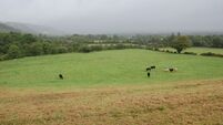 44-acre Limerick holding already under offer