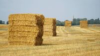 Stacked bales of straw in farmers field Bedfordshire England
