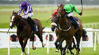 Juddmonte Irish Oaks Weekend - Sunday