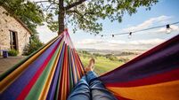 View through the hammock