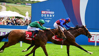 Jan Brueghel spearheads stellar list of King George contenders