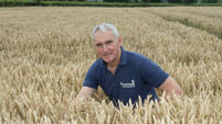 Tom Barry: ‘Respectable’ harvest won’t make up for lowest grain prices in 40 years