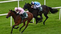 Composing out to build on maiden success