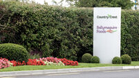 Ballymaguire Foods appoints public health expert after listeria-linked meal recall