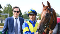 Treble for Joseph O'Brien as Browne McMonagle claims 47th success of season