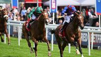 Ruby Walsh: Jan Brueghel can land King George spoils