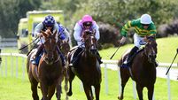 Comfort Zone favourite for opening day feature at Galway Races