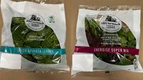 Several spinach and mixed leaves products recalled following detection of listeria