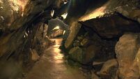 Shocks from Spanish earthquake felt in Mitchelstown Cave