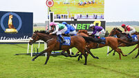 Collecting Coin looking to make it third time lucky in Irish EBF Maiden