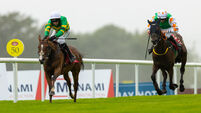 Mark Walsh on Davy Crockett wins 28/7/2025