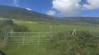186-acre Kerry farm: Quantity, quality, and swathes of charm