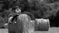 Sonia O'Sullivan 14/06/2000