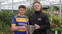 Physicality key in making step up to PIHC ranks, insists Lisgoold's Liam O'Shea