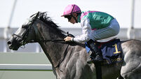 Field Of Gold found to be lame after Sussex Stakes loss
