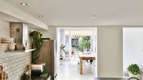 Luxury kitchen with pots of flowers