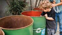 Father and son recycling together in the backyard