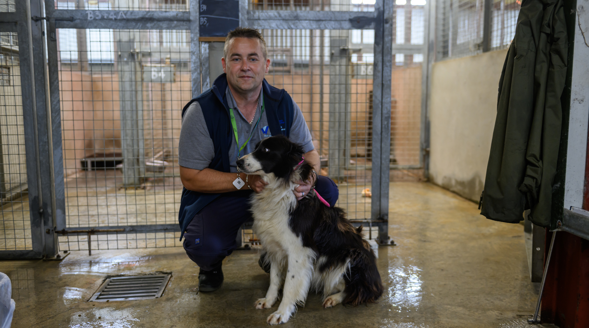 'He didn’t want to pay the money for a dog licence so he threatened me with a sledgehammer'