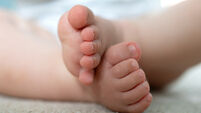 Baby stock