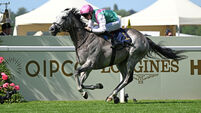Field Of Gold to miss York assignment