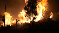 Greece Wildfires