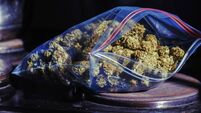 Cannabis ready to roll