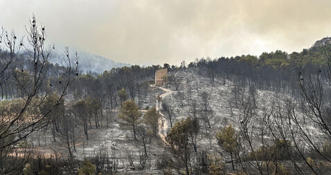 France Fires